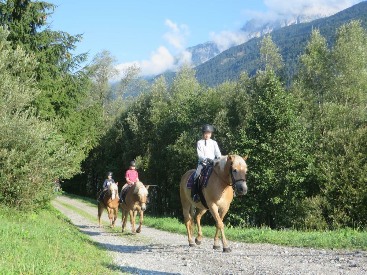 Knaller Der Reiterbauernhof Reisach Exterior foto